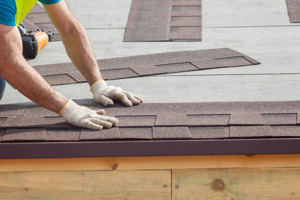 Best Roof Maintenance and Cleaning  in Indian Head, MD